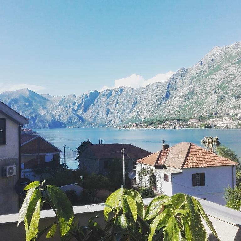Apartmani Mizdrak Kotor Ngoại thất bức ảnh